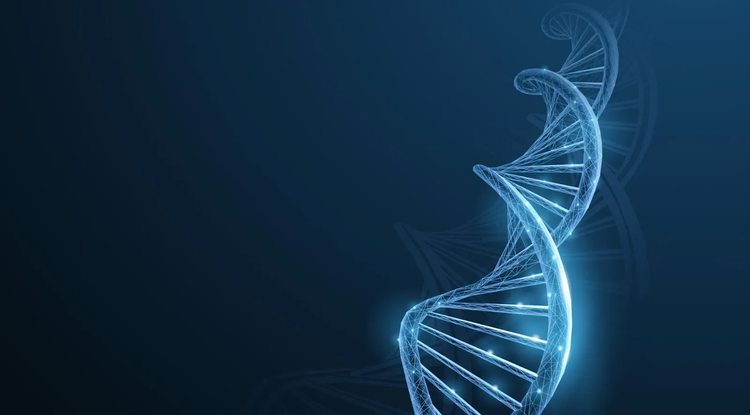 Innovation happens here